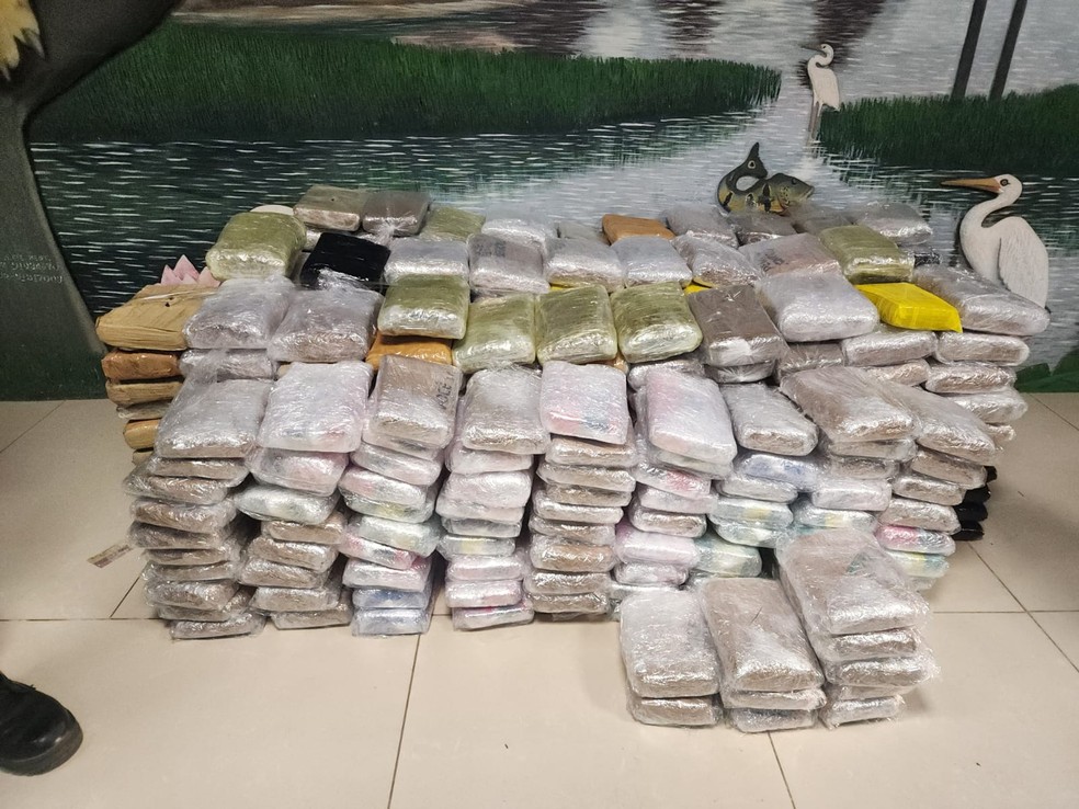Casal é preso com mais de 500 kg de drogas na Zona Leste de Manaus — Foto: Divulgação/PF
