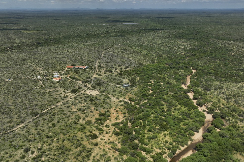 Vis&atilde;o a&eacute;rea do criadouro de ararinhas-azuis em uma &aacute;rea rural de Cura&ccedil;&aacute;, na Bahia. &mdash; Foto: AP Photo/Andre Penner