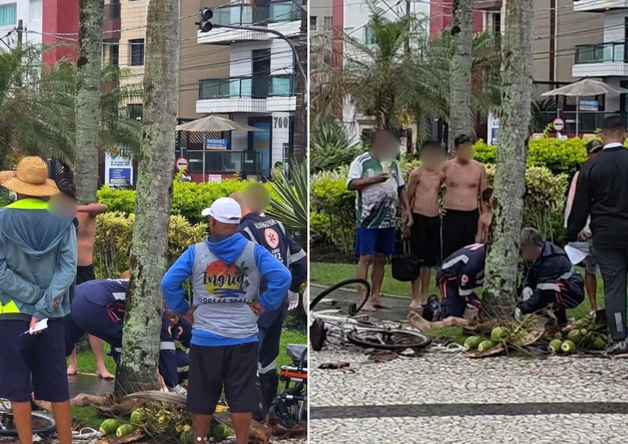 Homem morre após cair de coqueiro na orla de Praia Grande