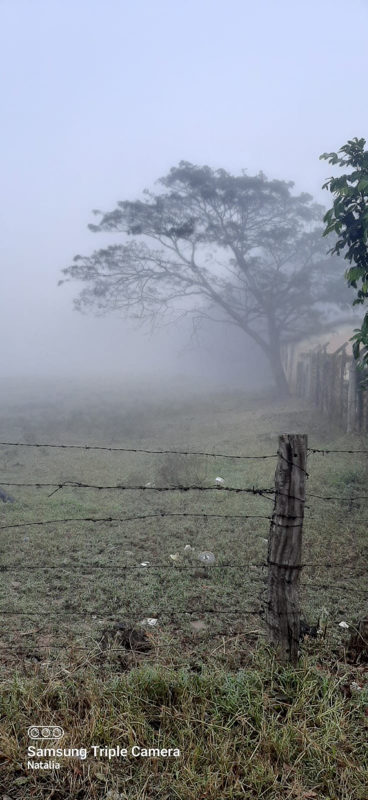 Veja fotos da neblina enviadas por telespectadores de São Carlos e ...
