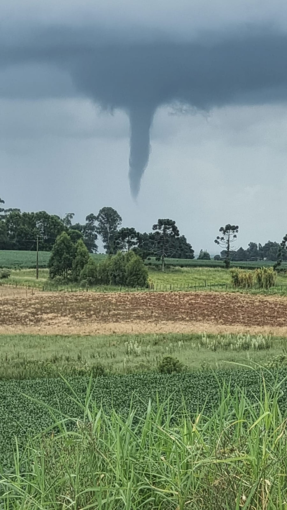 Tornado em J�lio de Castilhos &mdash; Foto: Adriel Piovesan/Galerananet
