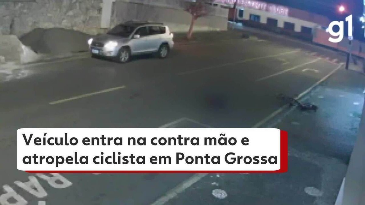 Revolta: motorista atropela cão e foge sem prestar socorro, em