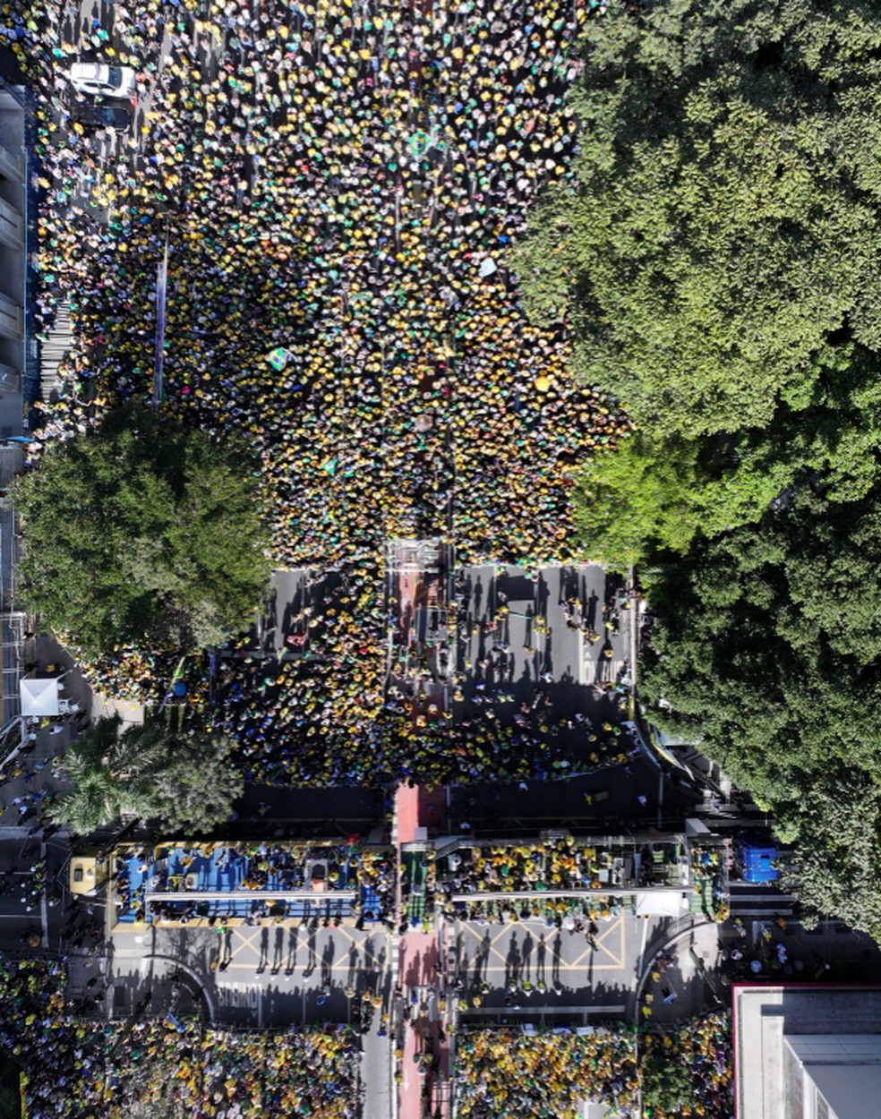 Foto usada na contagem de pessoas no convocado por Jair Bolsonaro na Avenida Paulista neste domingo (29) — Foto: Reprodução/Monitor do Debate Político no Meio Digital & More in Common