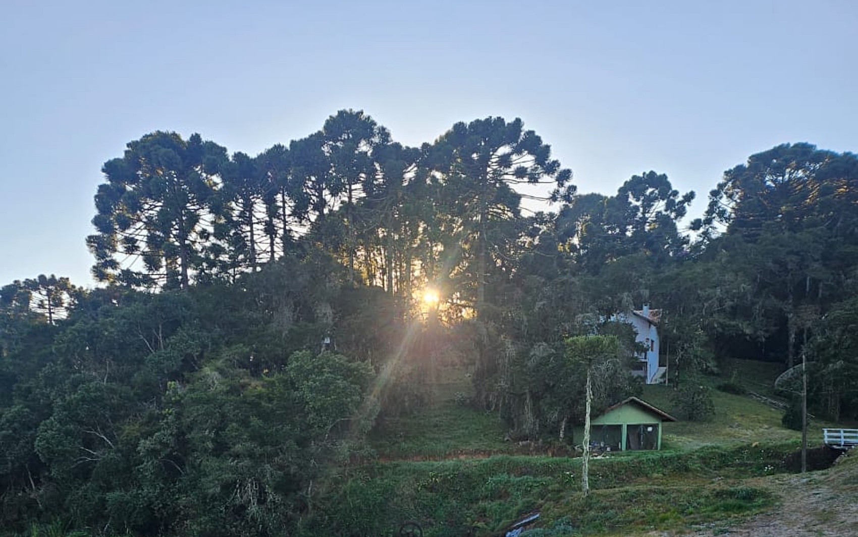 Geada cobre Monte Verde e temperaturas ficam perto de 2°C no último dia de julho