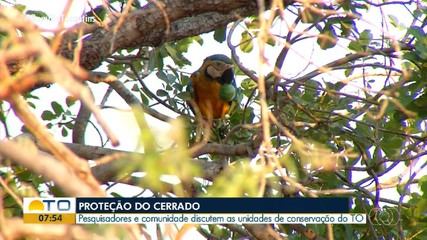 Pesquisadores e comunidades discutem sobre as unidades de conservação do Tocantins