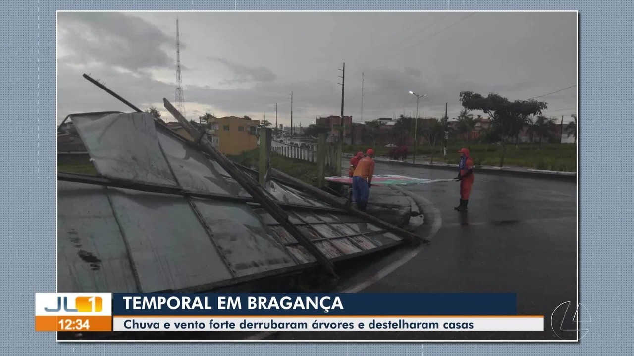 Forte chuva e rajadas de vento derrubam árvores e destelham imóveis em Bragança, no Pará