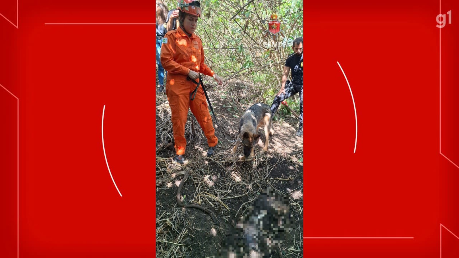 Mulher é encontrada morta e enterrada em 'curral' no DF; corpo foi localizado por cães farejadores