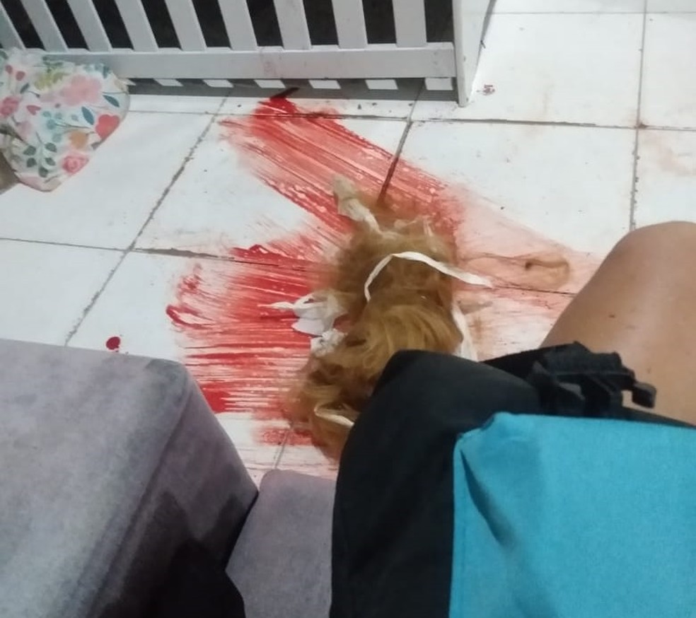 Marcas de sangue e cabelo raspado da mulher podiam ser vistos no chão da casa do agressor — Foto: Arquivo pessoal