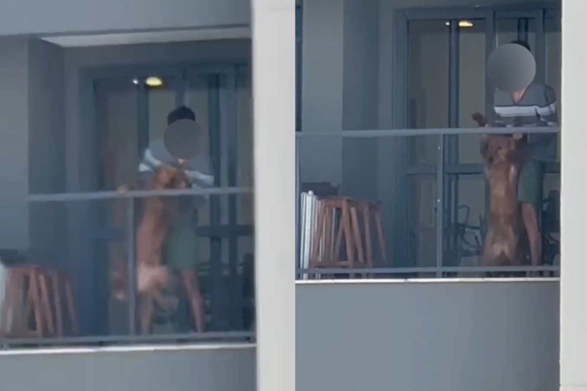 VÍDEO: homem é preso após ser flagrado batendo em cachorro na sacada de apartamento, em Londrina