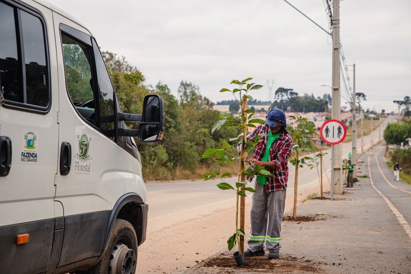 Fazenda Rio Grande inicia plantio de mais de 5 mil mudas de árvores nativas nas vias urbanas