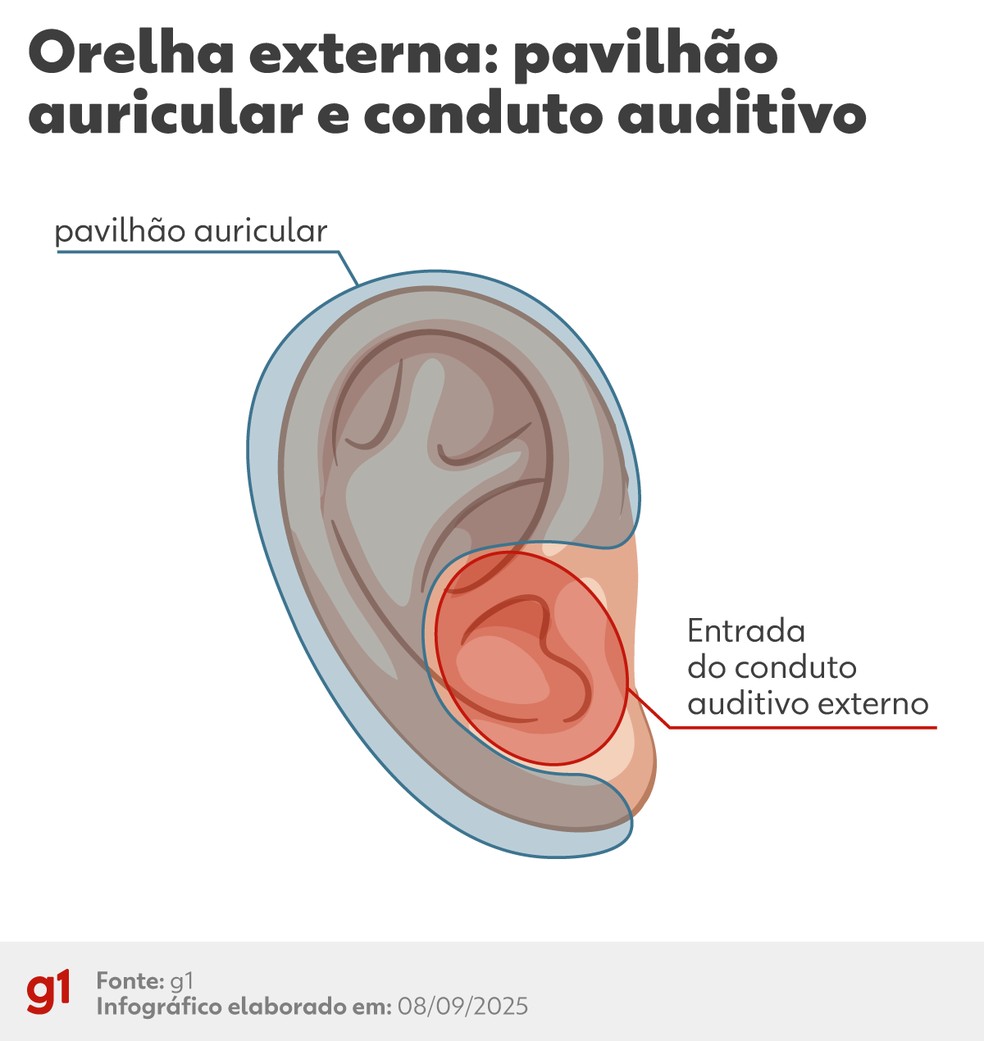 Anatomia da orelha externa — Foto: arte g1