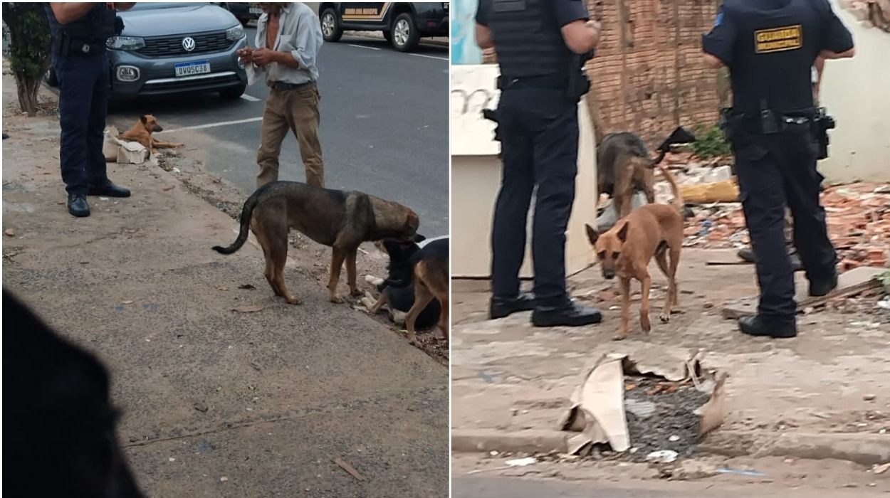 Homem é preso por maus-tratos após ser filmado agredindo filhotes de cachorro em Ibaté