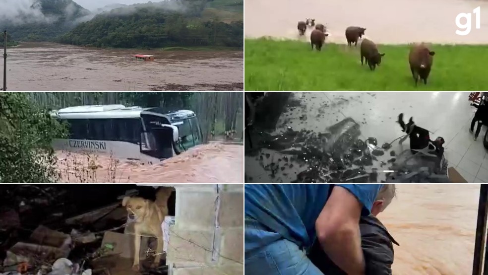 Imagens de transtornos causados pela chuva no RS — Foto: Edição g1