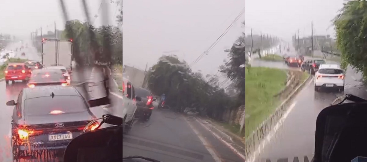Árvore cai em avenida do Benguí, em Belém, após chuva e ventos fortes