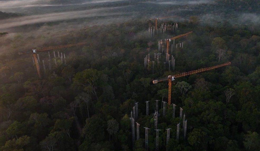 Imagem áerea do experimento AmazonFACE em meio à Amazônia — Foto: Jefferson Souza