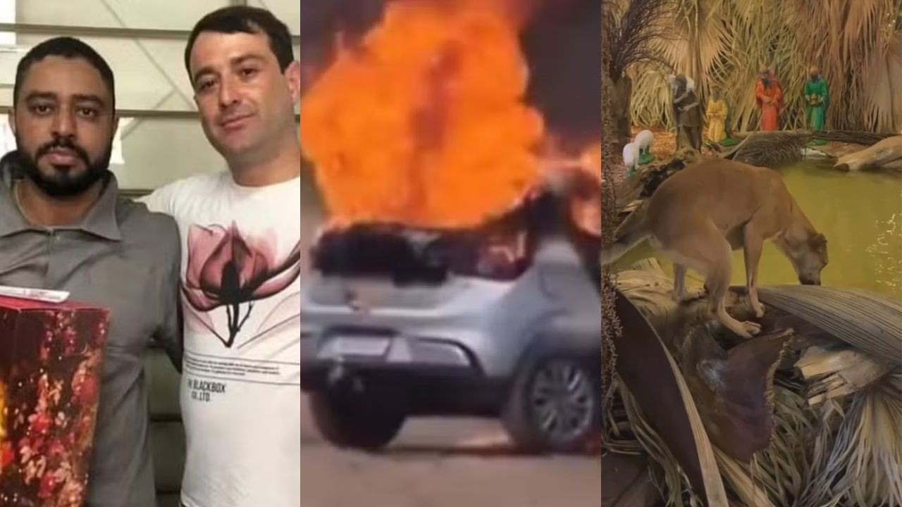 Você viu? Absolvição de funcionário que matou patrão, detento morto ao voltar de trabalho externo e cachorros fazem farra em presépio