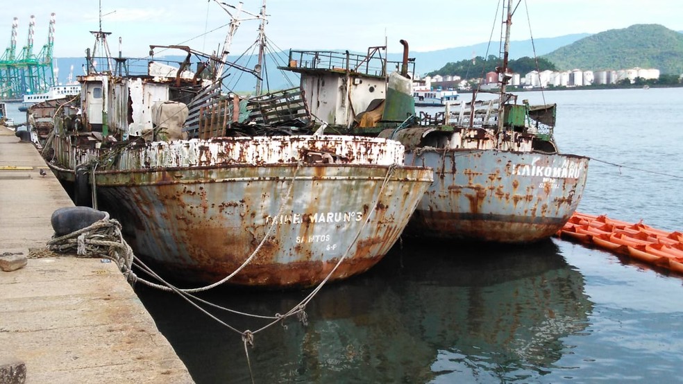 Turista desaparece em navio durante cruzeiro entre a Europa e o Brasil;  polícia investiga caso, Pernambuco