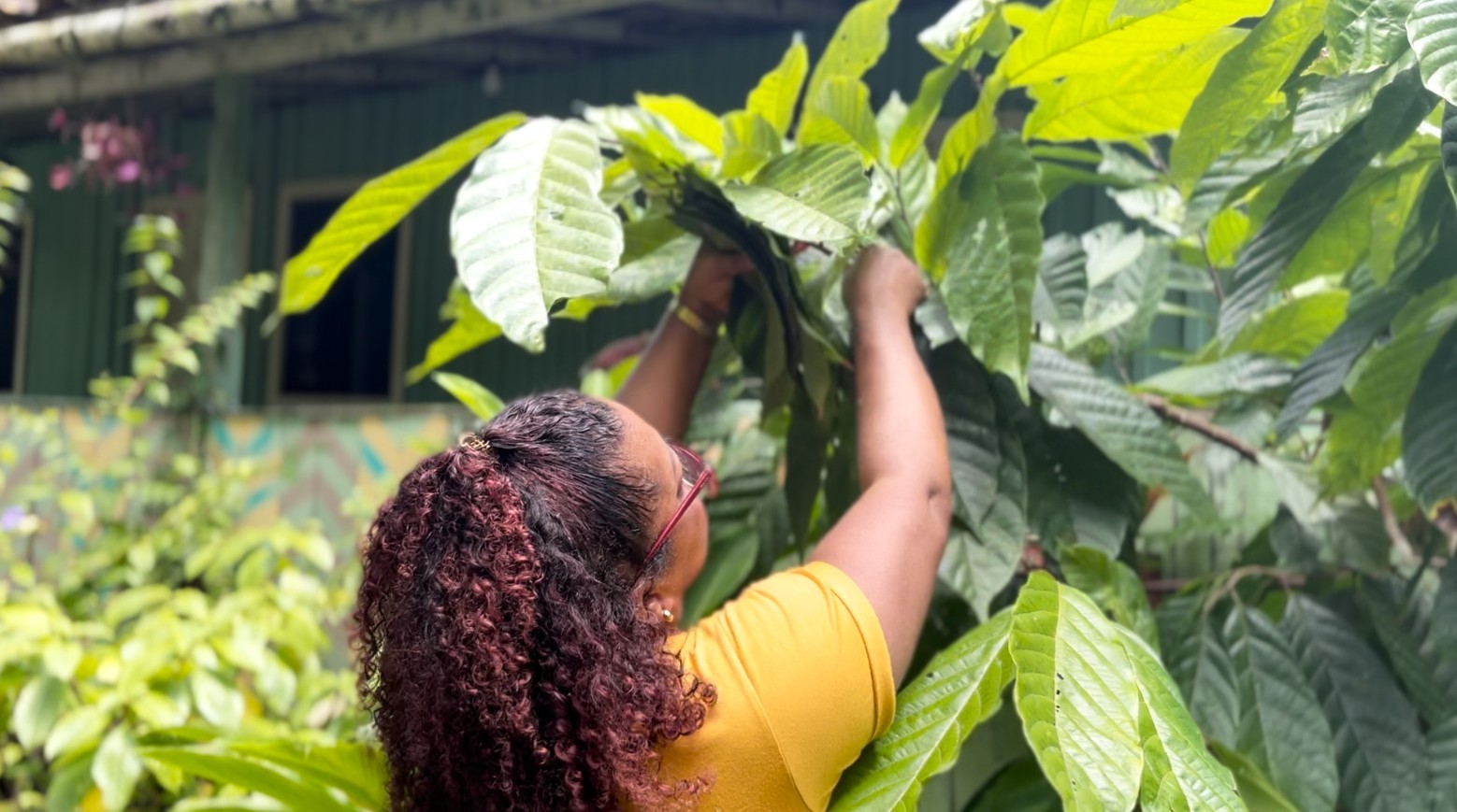 Mulheres ribeirinhas encontram alternativa para combater poluição por plástico em rio da Amazônia