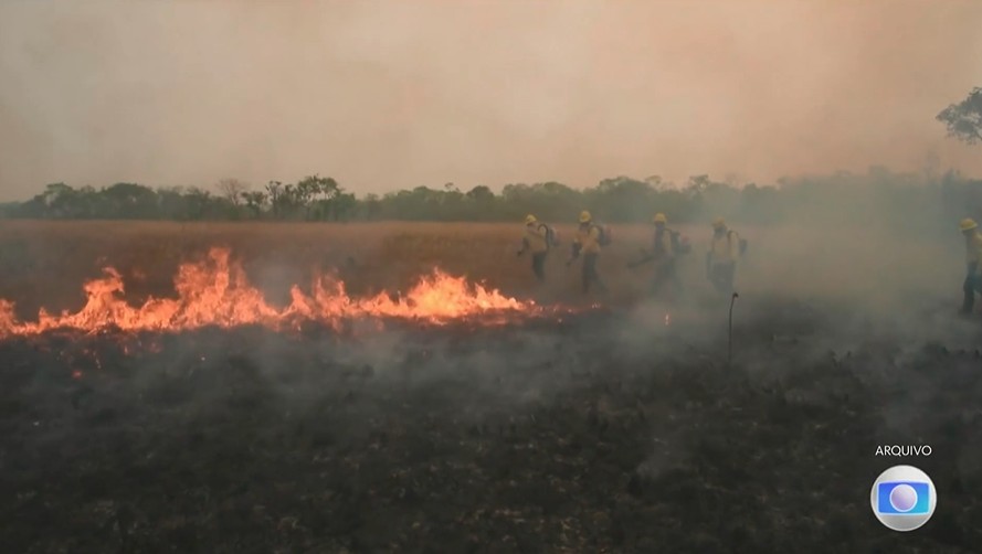 Nova lei no Brasil pode aumentar desmatamento da Amazônia, alerta especialista da ONU