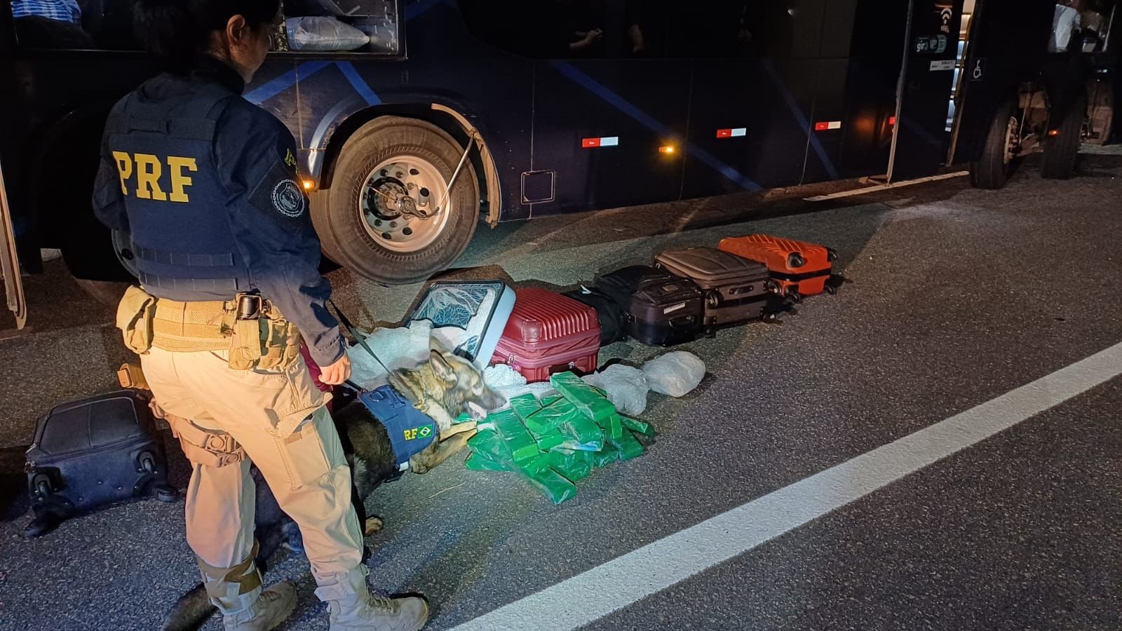 VÍDEO: Cães da PRF encontram 20 kg de maconha na mala de passageira de ônibus 