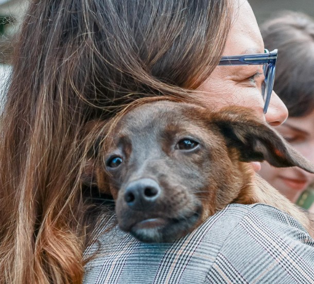 Janja adota cachorra resgatada no Rio Grande do Sul: 'Essa é a Esperança'