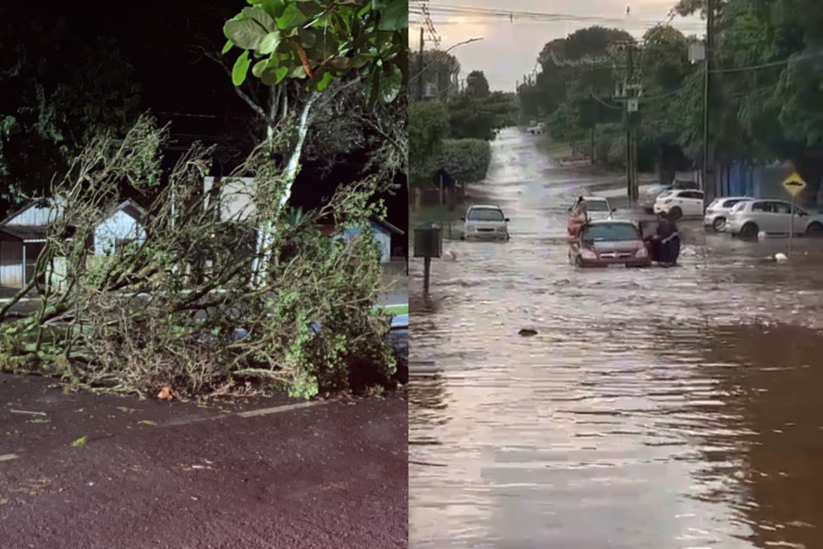 Alagamentos, queda de árvores e granizo: temporais provocam estragos no Paraná