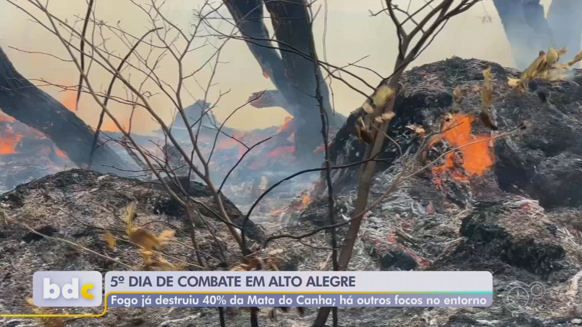 Incêndios são controlados em Alto Alegre após cinco dias 