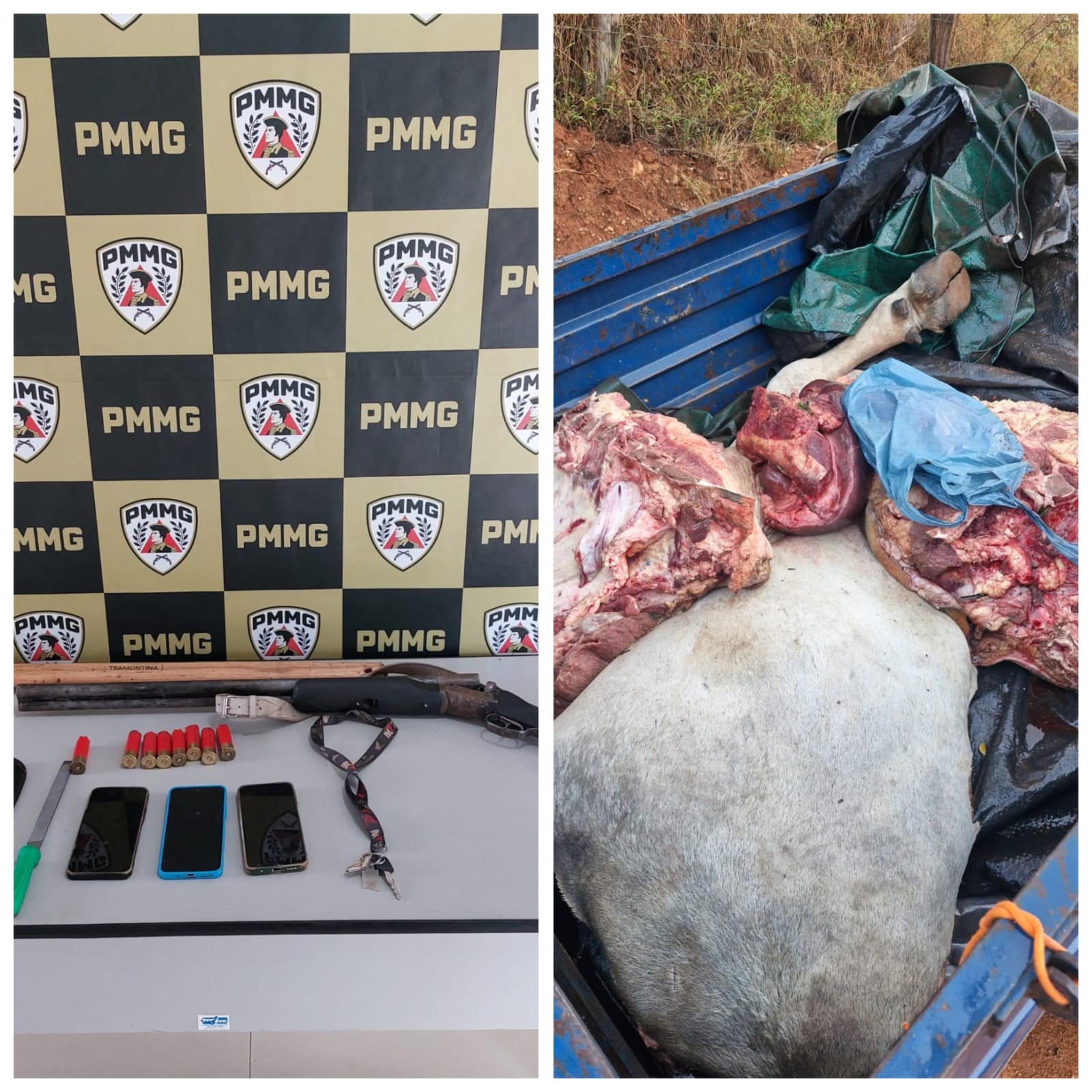 Quatro homens são presos suspeitos de furtar gado na zona rural de Joaquim Felício