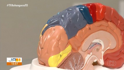 Cérebro também precisa de exercícios, alerta especialista