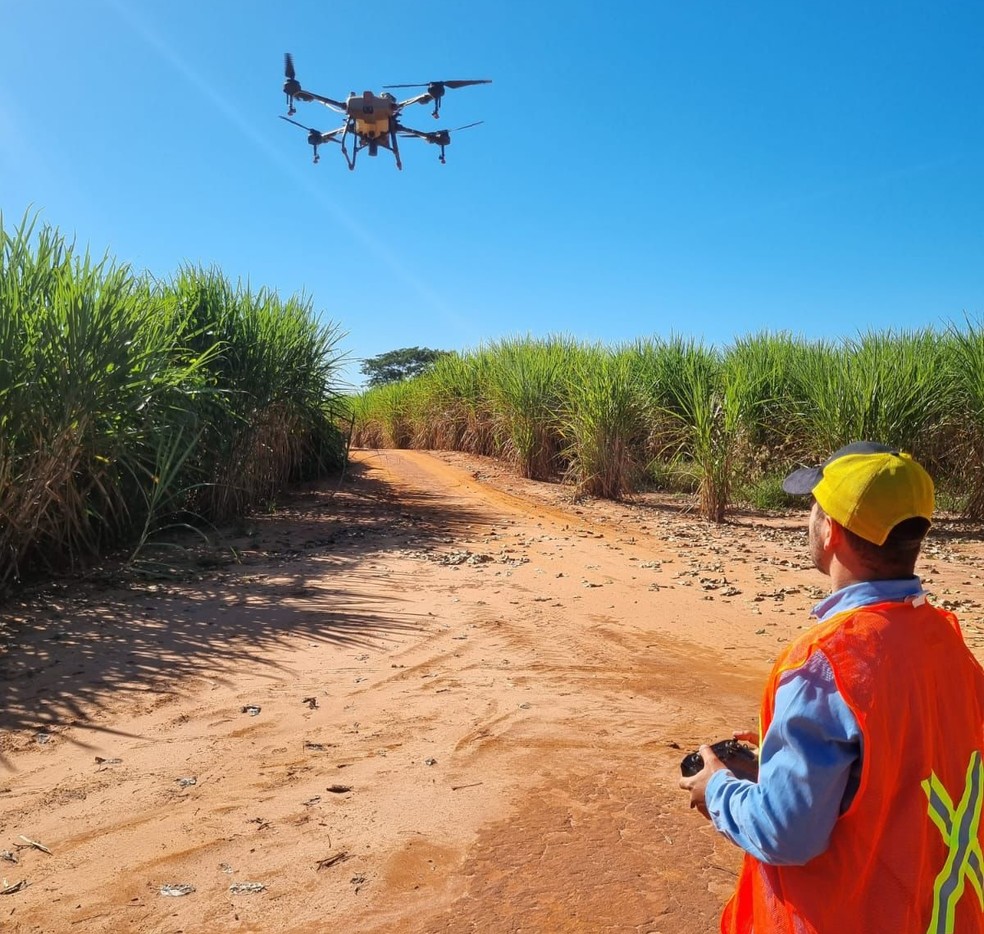 Adrien Michelmann, realiza uma demonstração de condução de drone agrícola. Neste momento, ele não estava realizando uma aplicação de agrotóxicos, o que requer equipamentos de proteção  — Foto: Arquivo pessoal