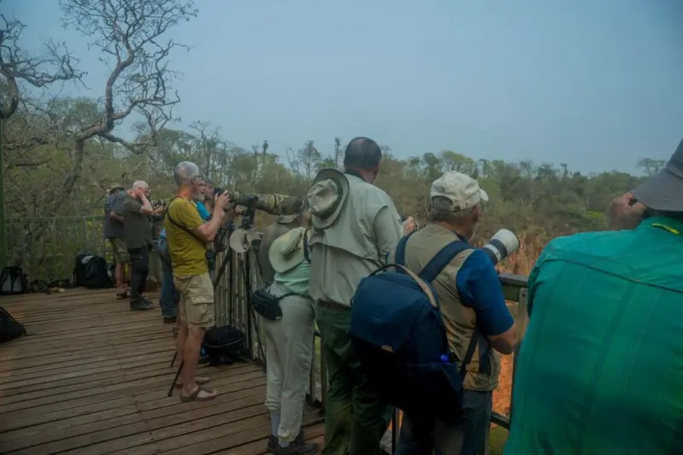 Turistas observam animais no Buraco das Araras, no Pantanal sul-mato-grossense — Foto: Wolfgang Kaehler/LightRocket via Getty Images