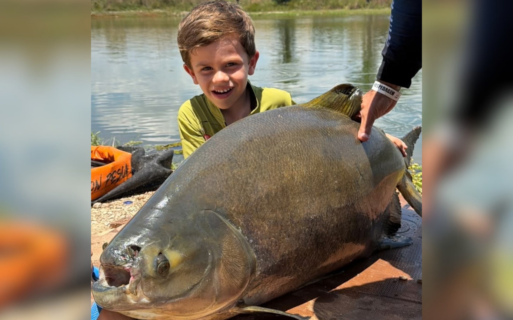 Menino de 4 anos surpreende ao pescar peixe de 25kg; vídeo