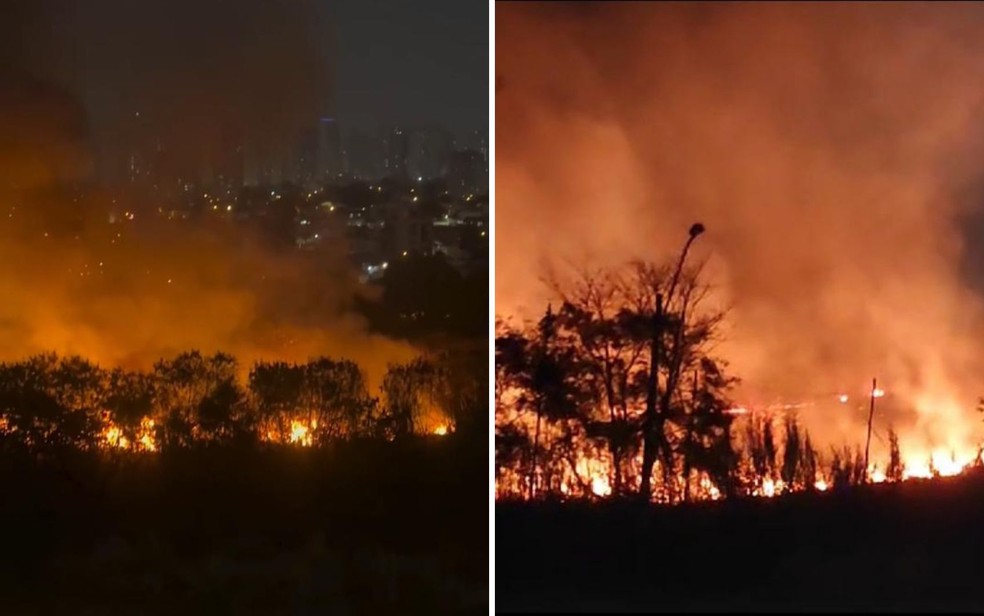 Incêndios atingem matas em Goiânia, Goiás — Foto: Reprodução/Redes Sociais