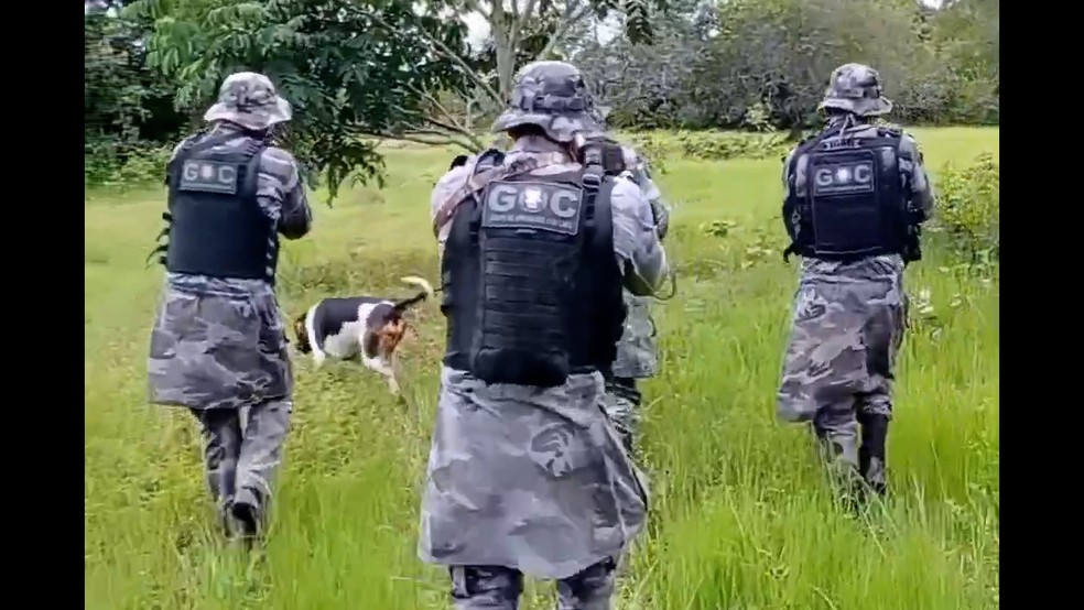 Policiais com ces buscam por criminosos escondidos na Ilha do Bananal  Foto: Reproduo