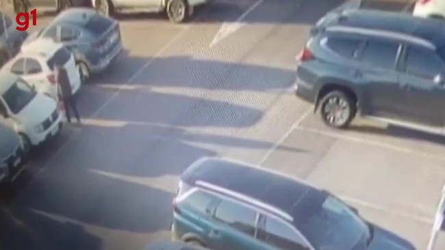 VÍDEO: passageiro abandona cão em aeroporto de Florianópolis após recusa de embarque