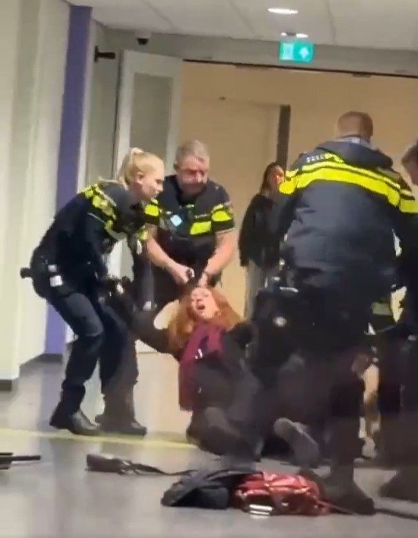 VÍDEO: Policial da Holanda arremessa alemã grávida no chão