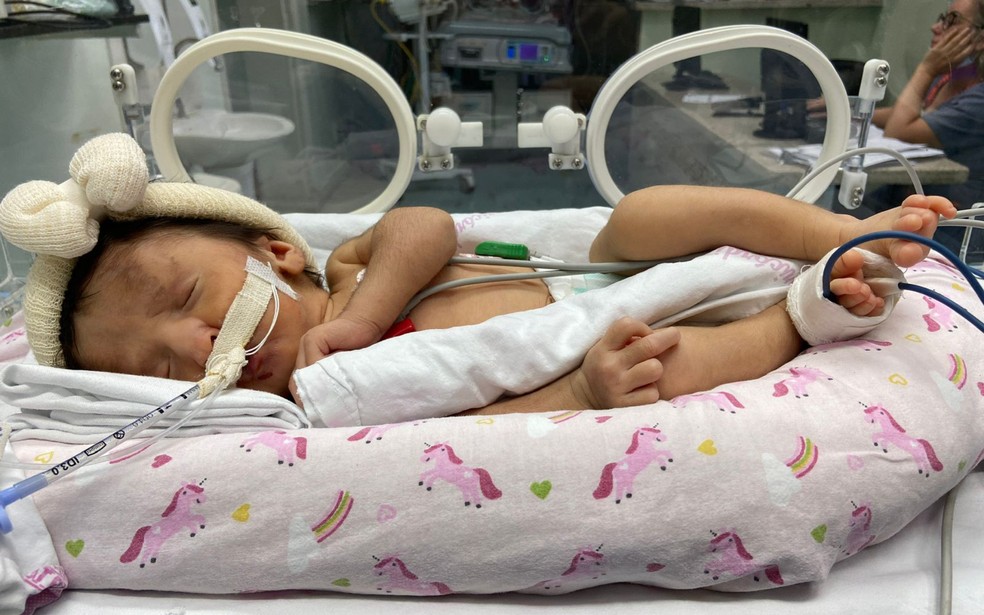 Celine recém nascida em Araçatuba (SP) — Foto: Tais Barcelar/Arquivo Pessoal