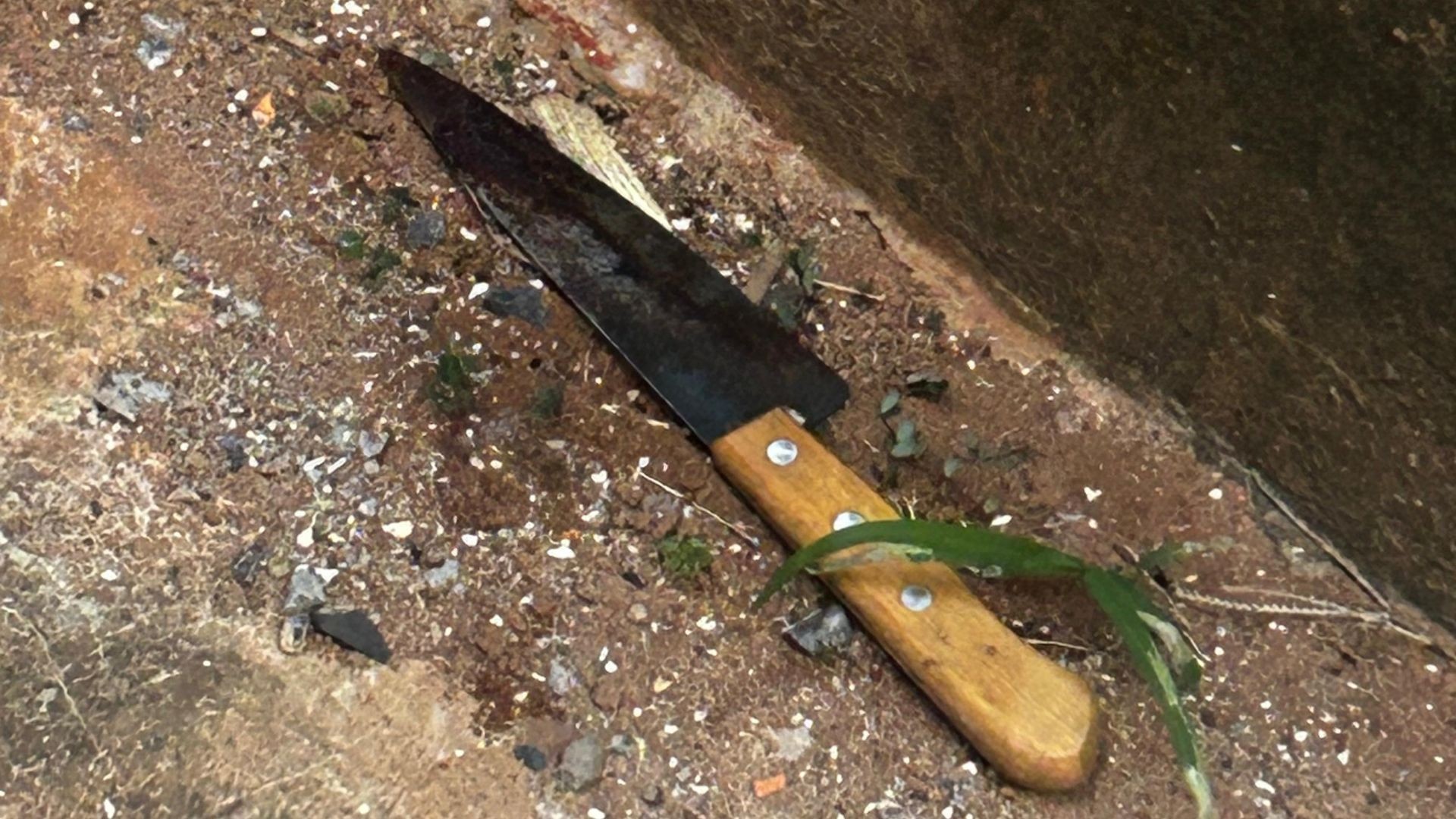 Mulher mata marido com faca de cozinha após briga por troca de número de celular em Uberlândia