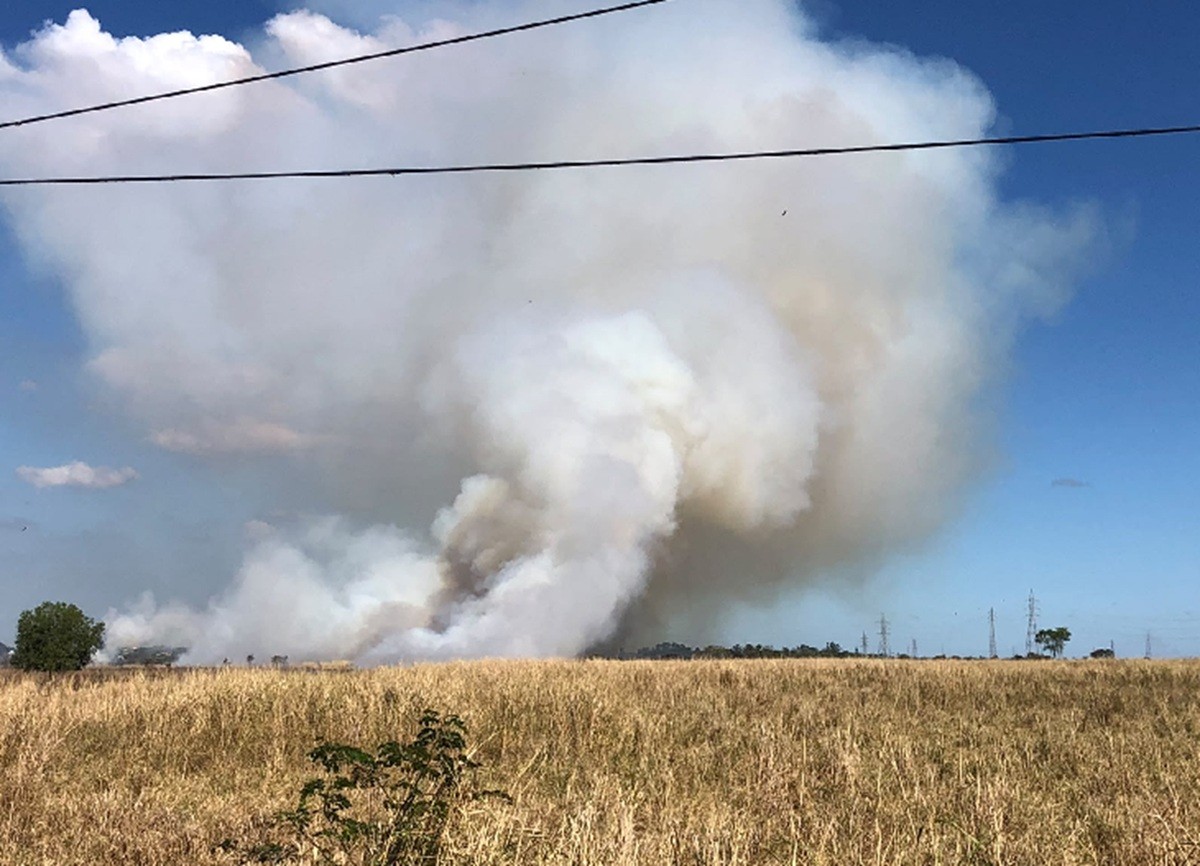 Incêndio florestal faz grande cortina de fumaça em Campos