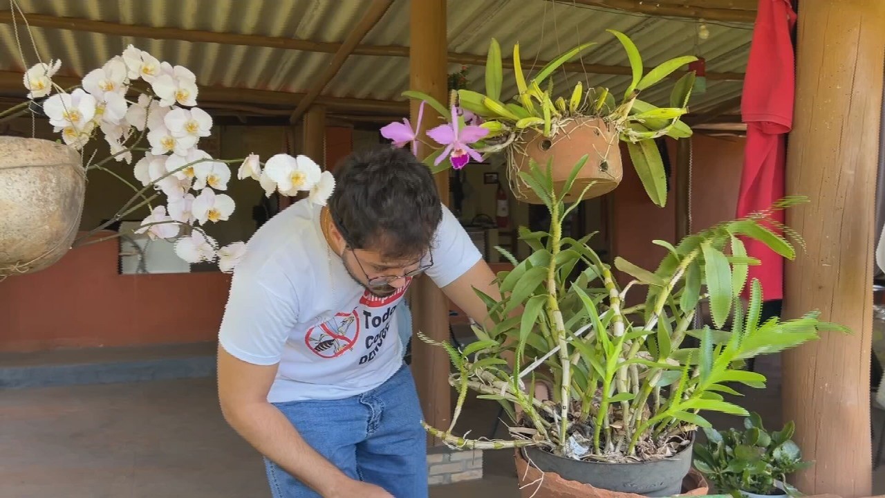 Casos de dengue preocupam trabalhadores da zona rural no interior de São Paulo