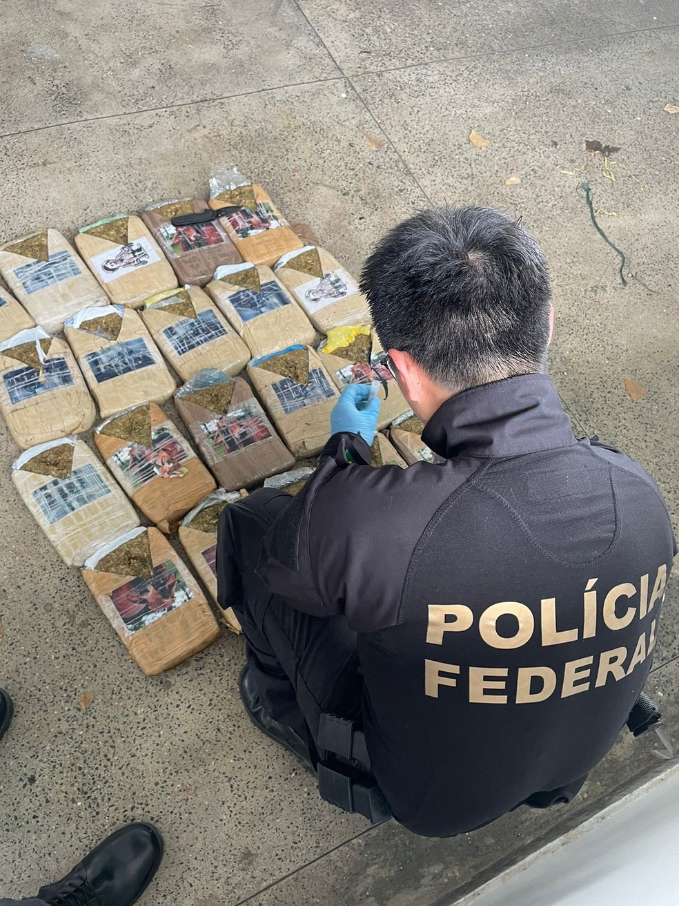 Forças Armadas entregaram a maconha encontrada à PF — Foto: PF-AM