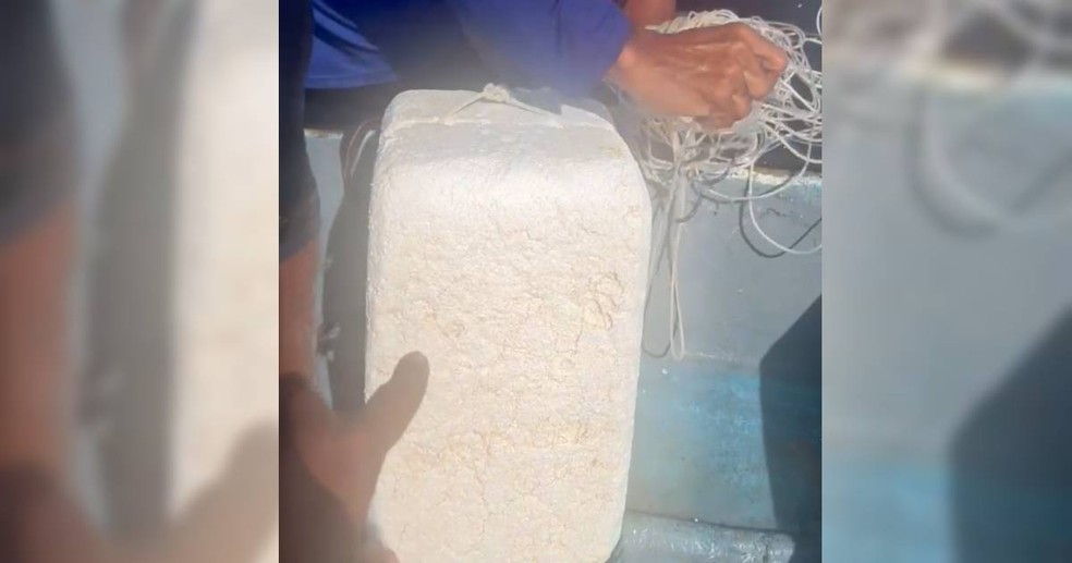 Instrutores de esportes náuticos desconfiaram que boia de isopor estava presa a um animal marinho — Foto: Reprodução