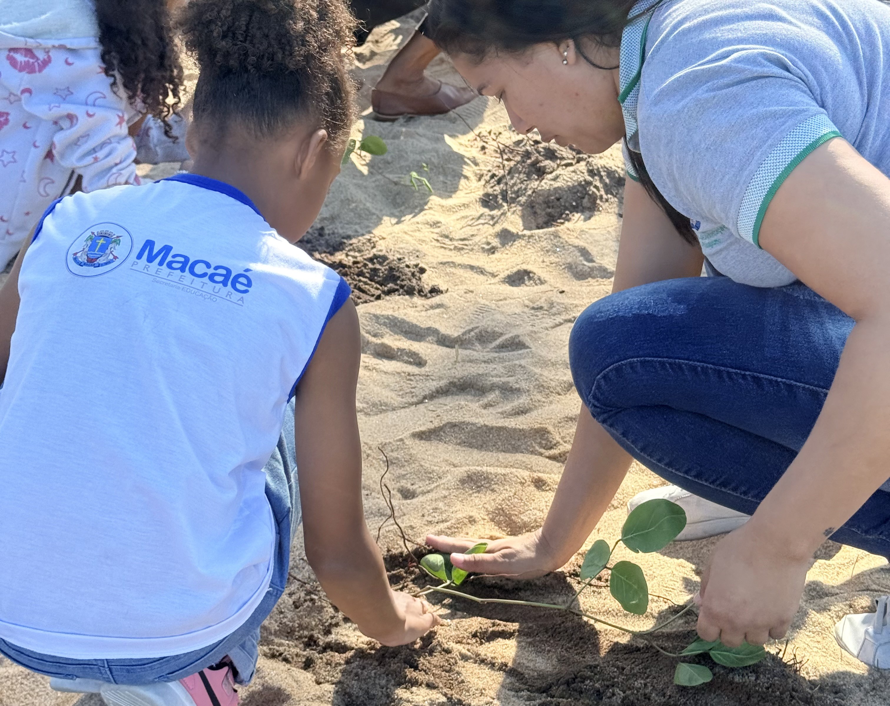 Praia do Pecado, em Macaé, recebe 10 mil mudas nativas para recuperar restinga