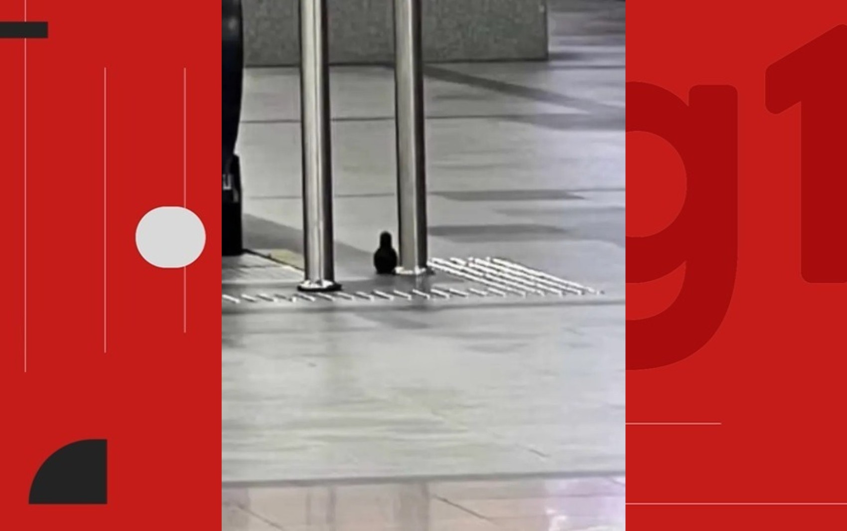 Bope retira material do aeroporto de Salvador após suspeita de bomba