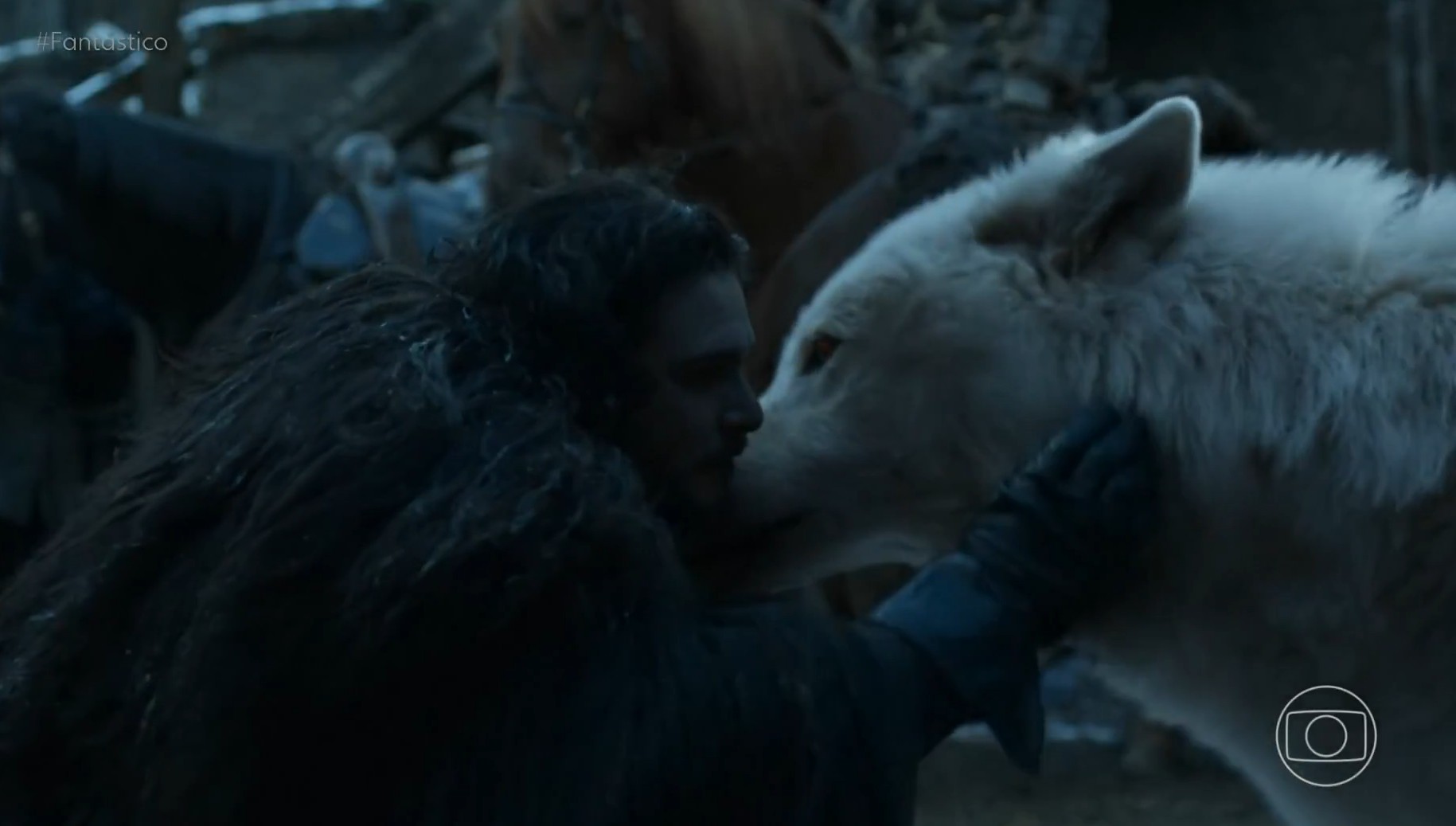 George R. R. Martin e os lobos terríveis: autor de 'Game of Thrones' se inspirou em espécie e investe em desextinção
