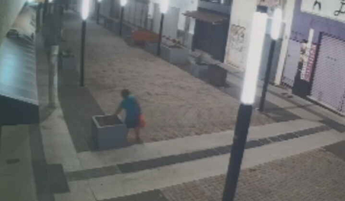VÍDEO: mulher é flagrada vandalizando vasos de plantas no Calçadão da Batista em Bauru