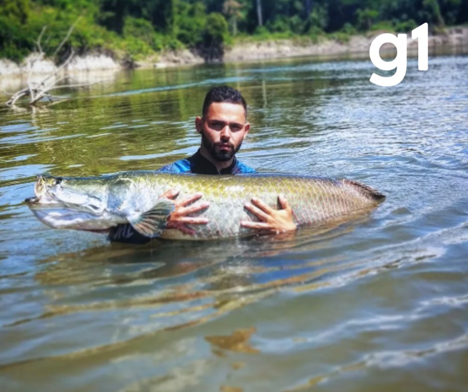 Pescador esportivo morre após bater moto em caminhonete na BR-163 em MT