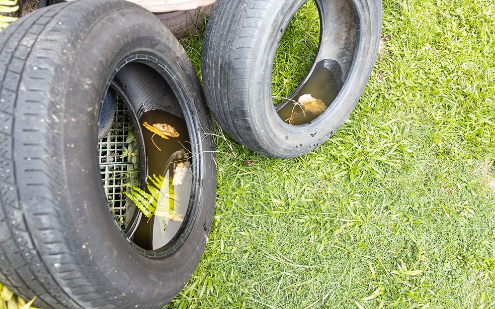 A maior parte dos focos de dengue encontra-se em residências. — Foto: Envato