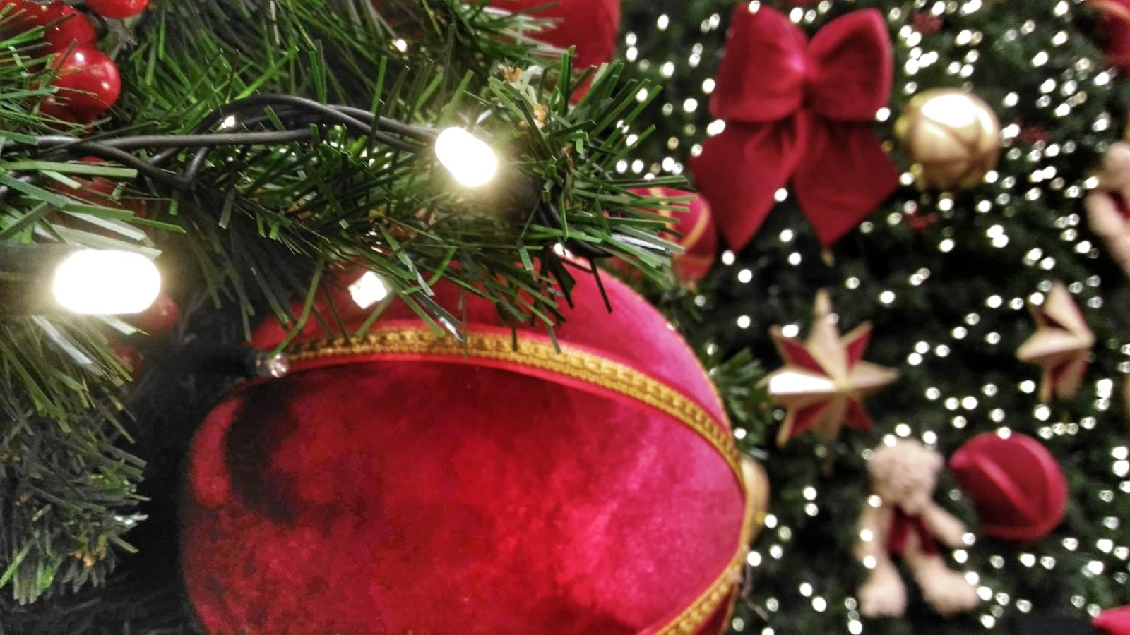 Luzes de Natal: veja dicas para evitar acidentes e gastos desnecessários