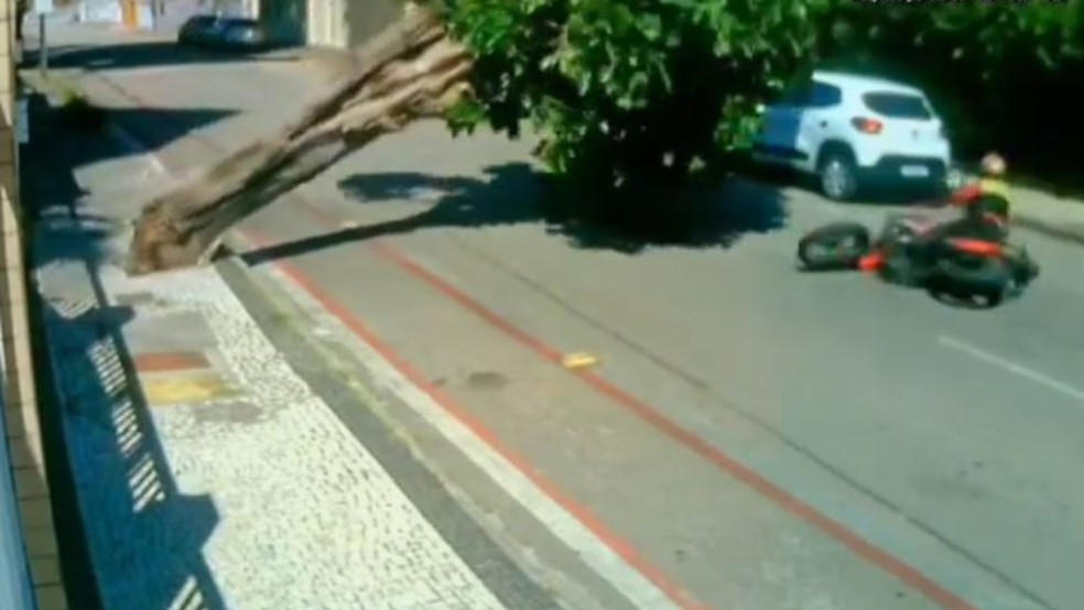 Motociclista estava a caminho do trabalho quando foi atingido por uma árvore no Bairro São João do Tauape, em Fortaleza. — Foto: Reprodução